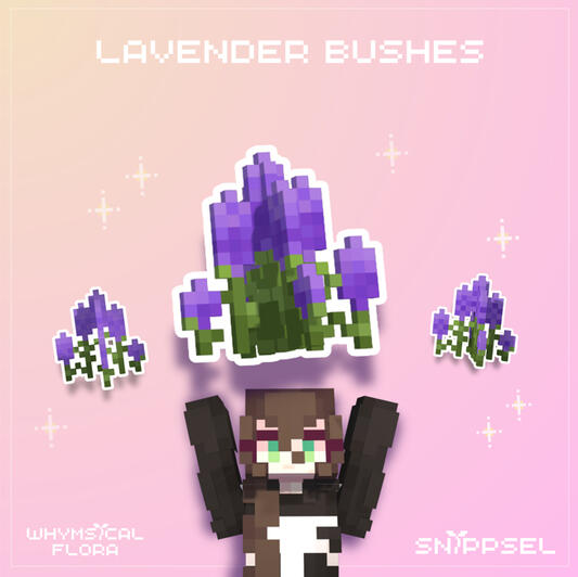 Lavender Bushes